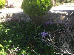 280 m2 - 1891 - photo-8