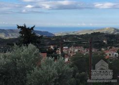 280 m2 - 1891 - photo-3