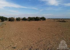 m2 - 2074 - photo-1