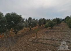 m2 - 2074 - photo-2