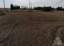 m2 - 2074 - photo-3
