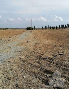 m2 - 2074 - photo-4