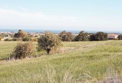 m2 - 2096 - photo-1