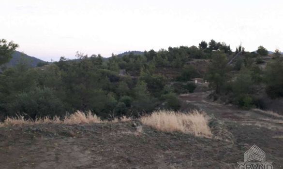 m2 - 2112 - photo-2