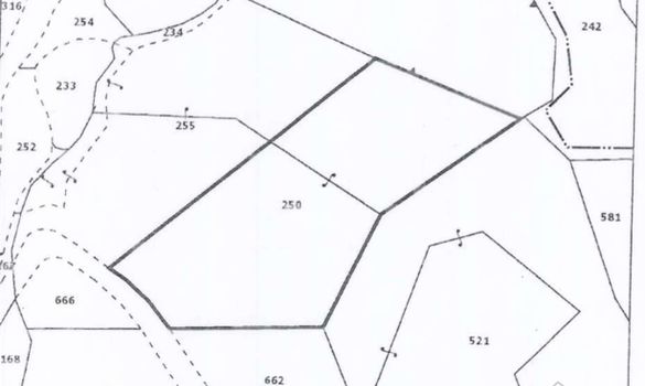 m2 - 2161 - photo-1