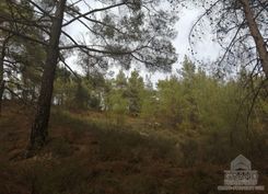 m2 - 2189 - photo-3