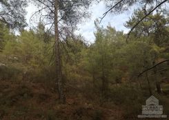 m2 - 2189 - photo-5