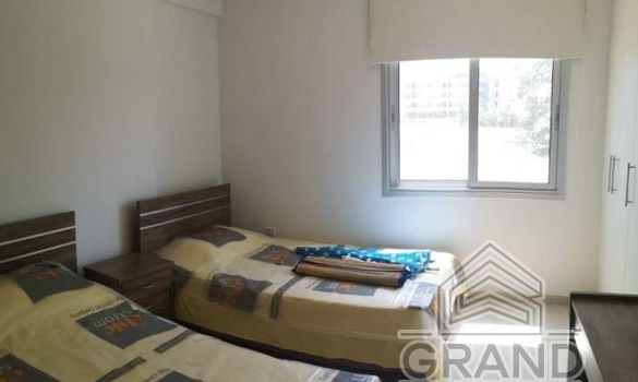 75 m2 - 2317 - photo-3