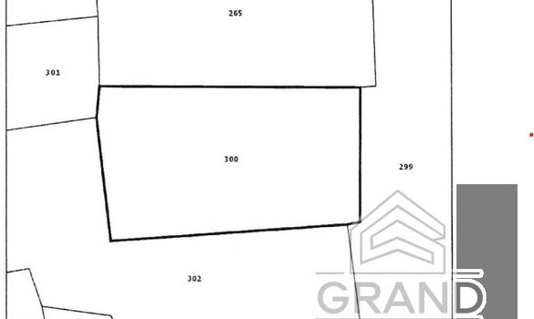 2329 - photo-4