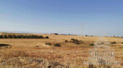2415 - photo-5