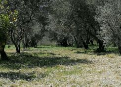 m2 - 2476 - photo-3