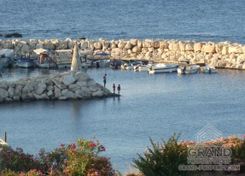 150 m2 - 2483 - photo-3