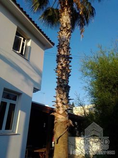 264 m2 - 2522 - photo-17
