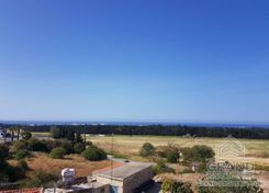 75 m2 - 2567 - photo-2