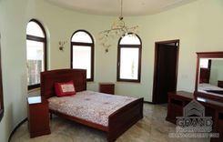 1000 m2 - 2615 - photo-8