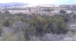 2738 - photo-2