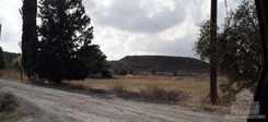 2740 - photo-2
