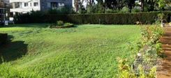 02873 - photo-4