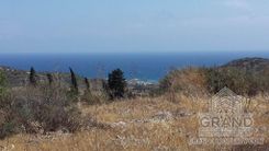 364 m2 - 2878 - photo-3