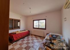 321 m2 - 2900 - photo-16