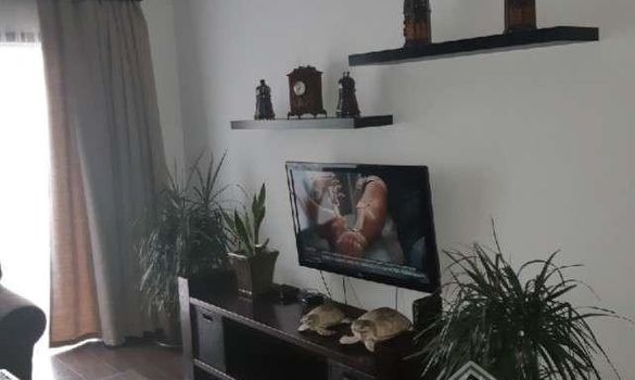 120 m2 - 2901 - photo-8