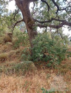 m2 - 2916 - photo-2