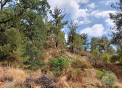 m2 - 2916 - photo-1
