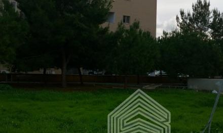 85 m2 - 3026 - photo-1