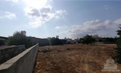 m2 - 3106 - photo-2