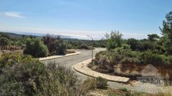 155 m2 - 3137 - photo-6