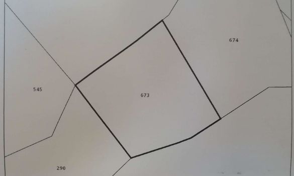 3144 - photo-1