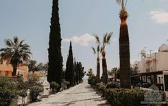 75 m2 - 3162 - photo-3