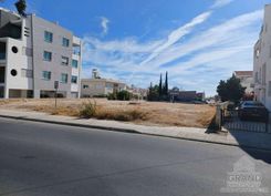 3216 - photo-4