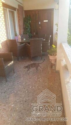 150 m2 - 3235 - photo-6