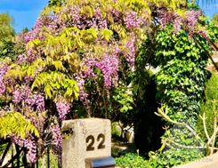 211 m2 - 3285 - photo-4