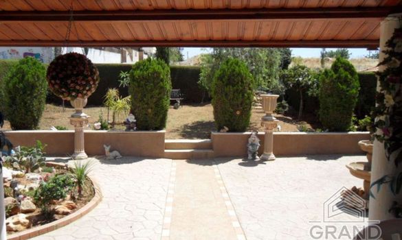 490 m2 - 3317 - photo-6