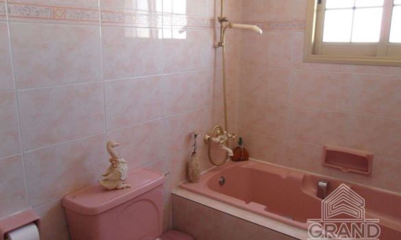 490 m2 - 3317 - photo-13