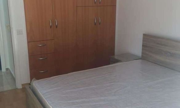 80 m2 - 3394 - photo-6