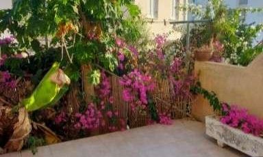 110 m2 - 3438 - photo-1