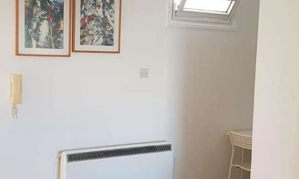 50 m2 - 3464 - photo-7