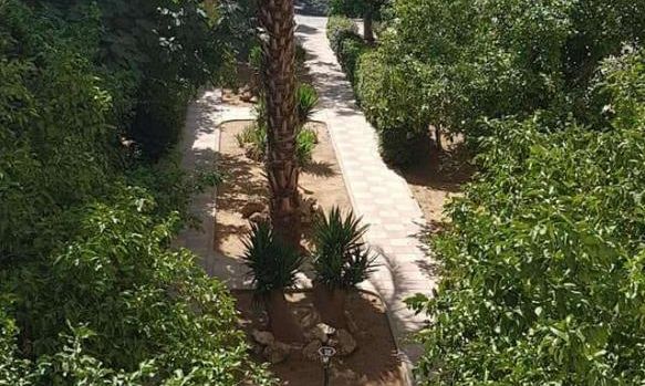 50 m2 - 3464 - photo-9