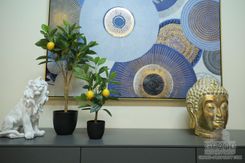 90 m2 - 3577 - photo-4