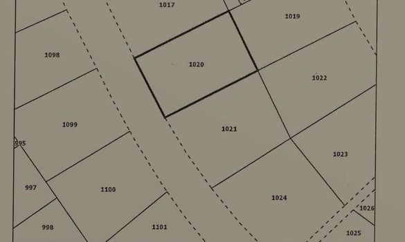 3701 - photo-1