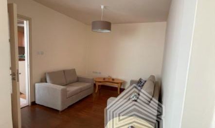 55 m2 - 3875 - photo-4