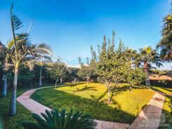 450 m2 - 3940 - photo-10