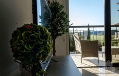 03997 - photo-15