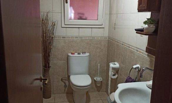330 m2 - 4017 - photo-6