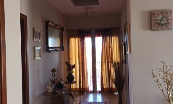 330 m2 - 4017 - photo-7