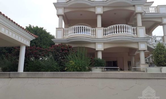 650 m2 - 4069 - photo-3