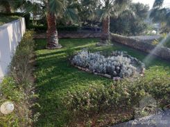 650 m2 - 4069 - photo-9
